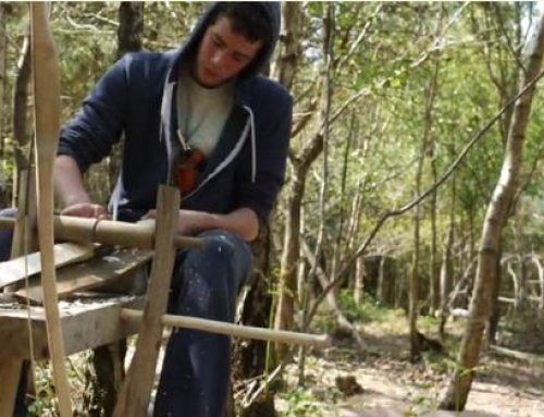 Earth Steward Apprenticeship Summer Update