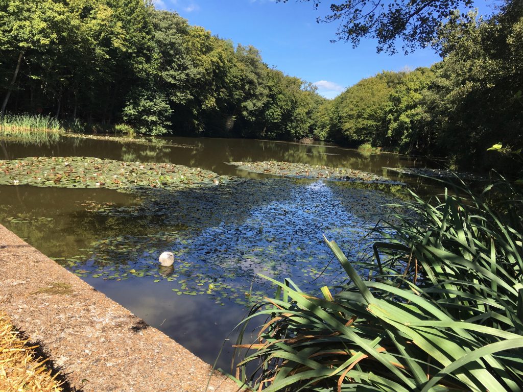 The lake