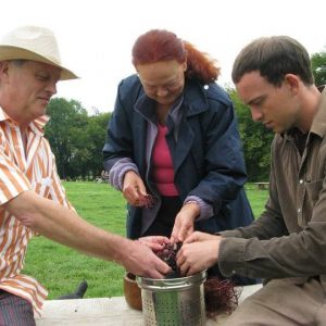 Partnership working at Sacred Earth