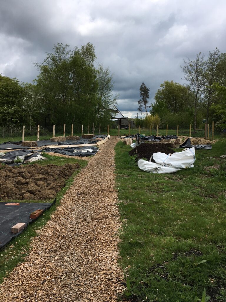 vegetable garden