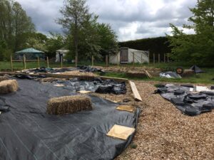 Veg garden