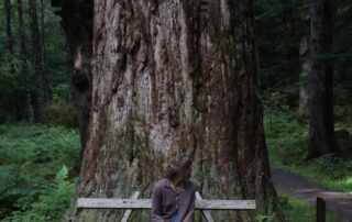 Girl sitting beneath a tree