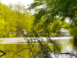 View of lake