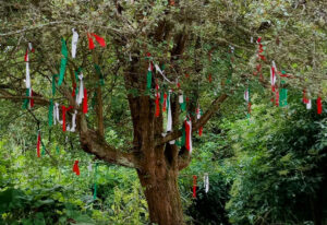 Hawthorn-prayer-tree-for-web