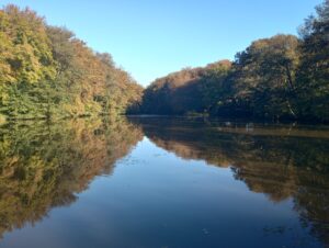 IMG_20231015_092956197_HDR